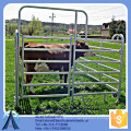 3 rail fence cattle panels